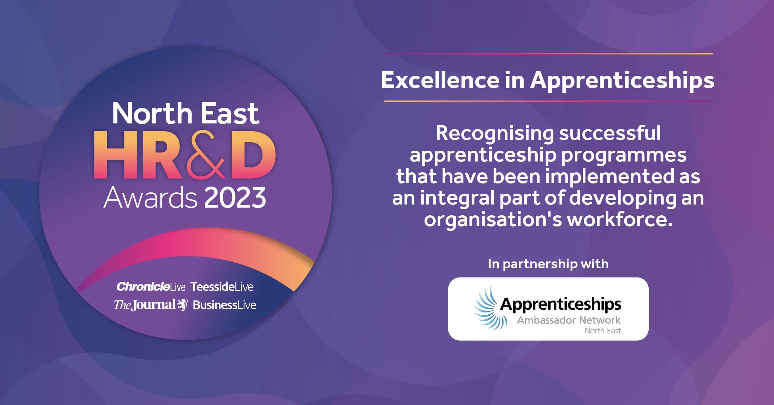 Excellence in Apprenticeships